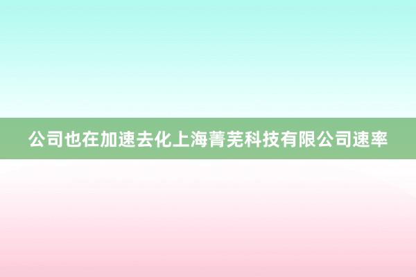 公司也在加速去化上海菁芜科技有限公司速率